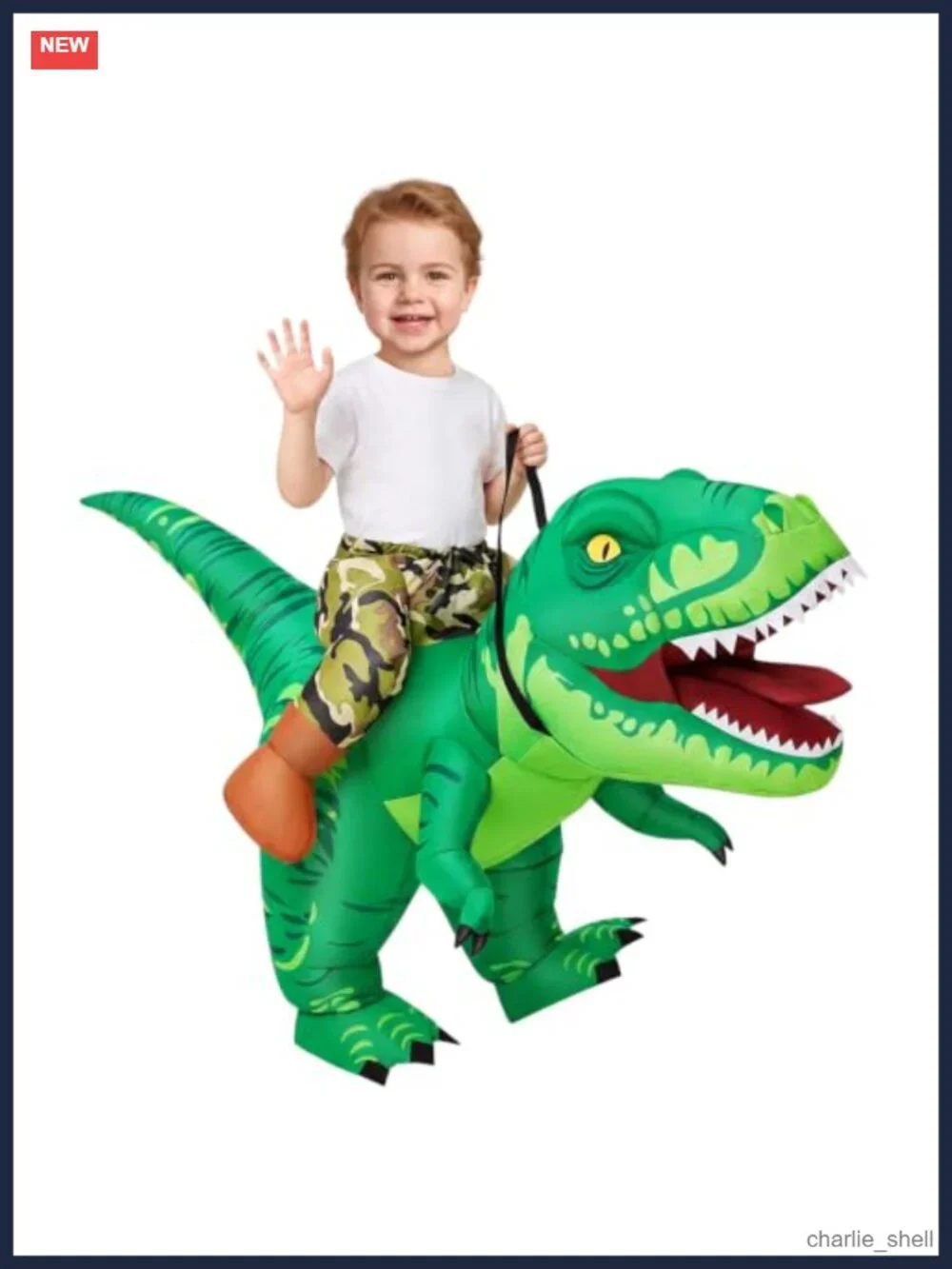 N/A fun inflatable